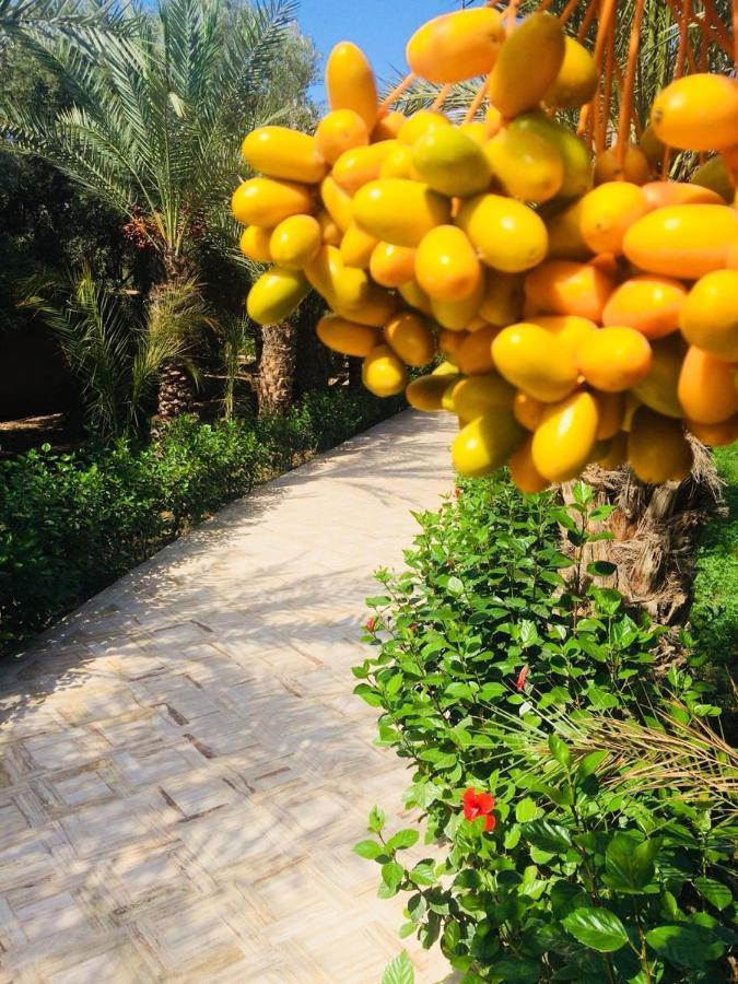 Riad Le Jasmin Taroudant Bagian luar foto