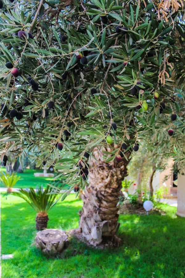 Riad Le Jasmin Taroudant Bagian luar foto