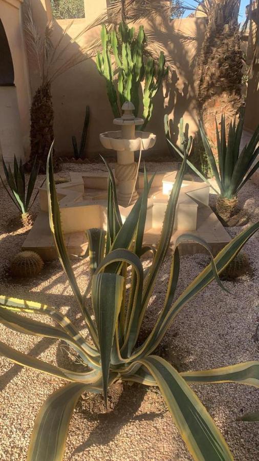 Riad Le Jasmin Taroudant Bagian luar foto