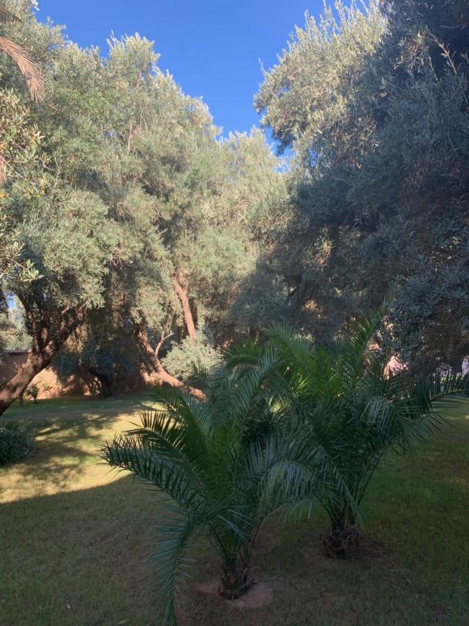 Riad Le Jasmin Taroudant Bagian luar foto