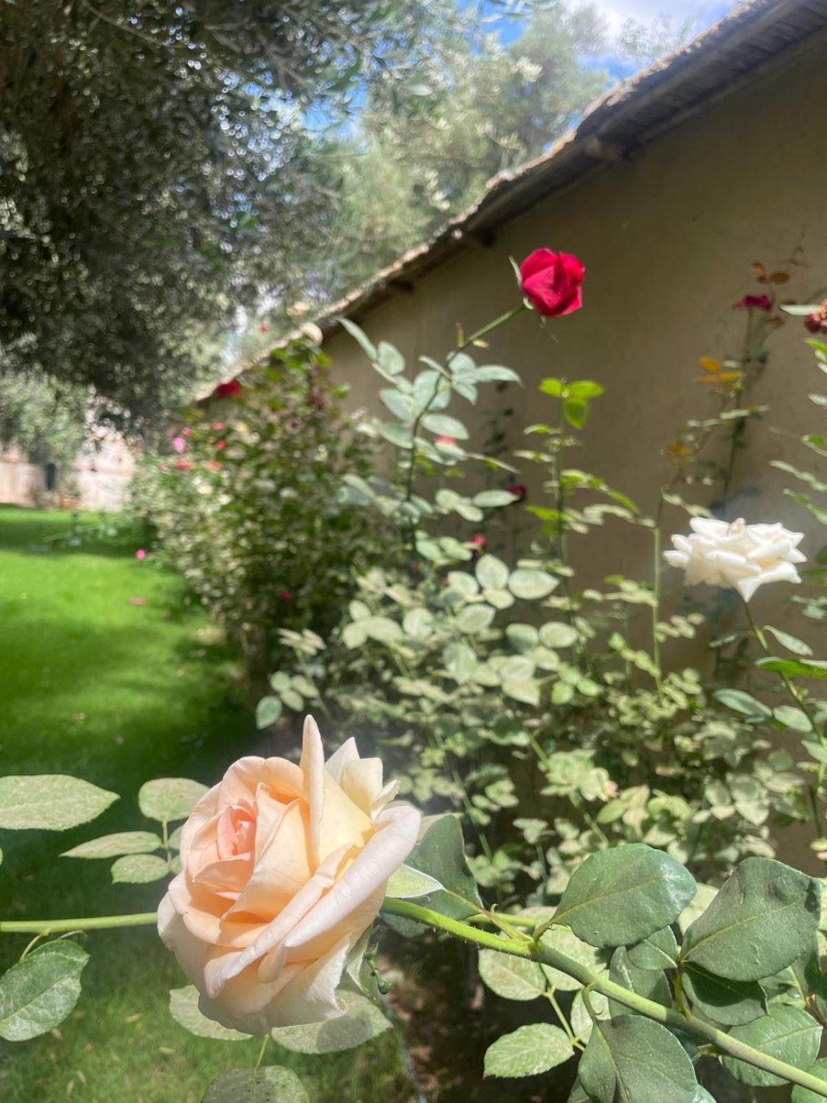 Riad Le Jasmin Taroudant Bagian luar foto