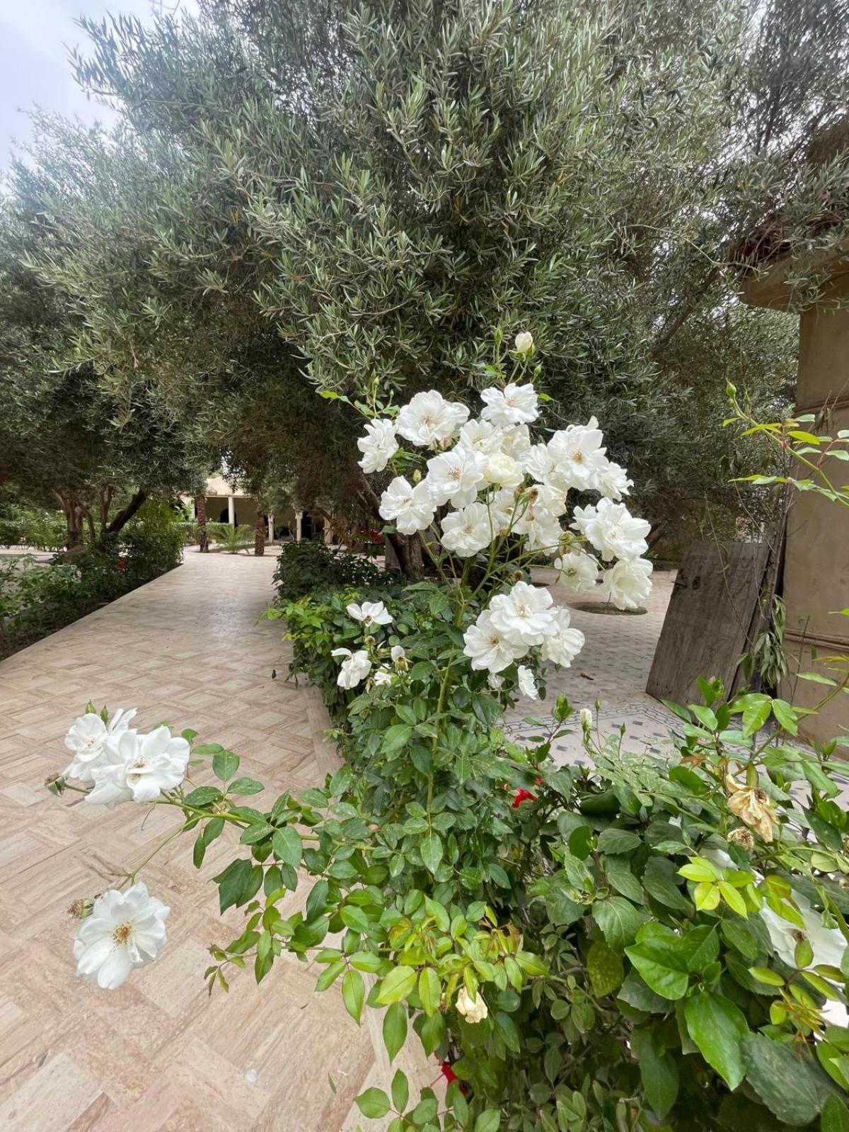 Riad Le Jasmin Taroudant Bagian luar foto