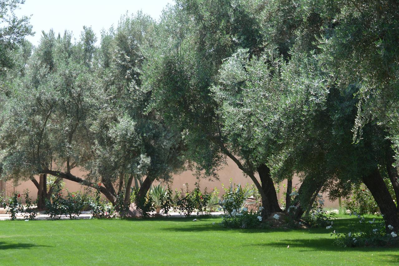 Riad Le Jasmin Taroudant Bagian luar foto