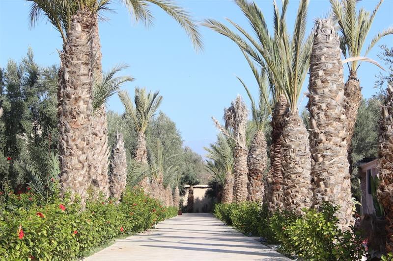 Riad Le Jasmin Taroudant Bagian luar foto